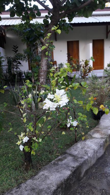 Herry Homestay Kuta  Екстер'єр фото