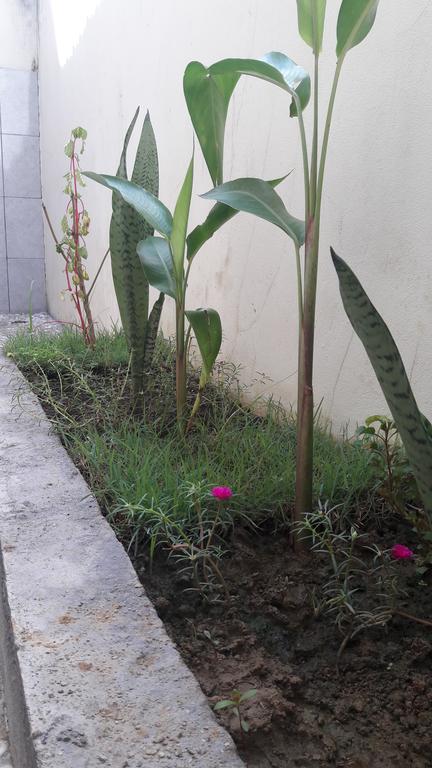 Herry Homestay Kuta  Екстер'єр фото